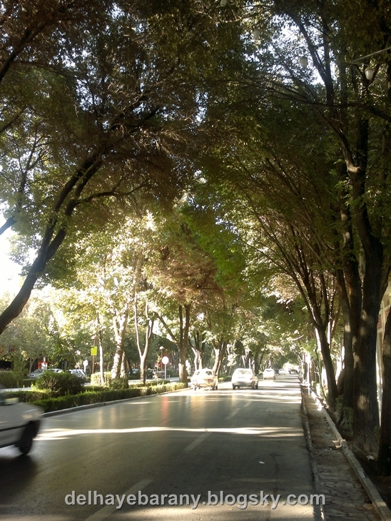 http://s3.picofile.com/file/7517024943/021020121681.jpg