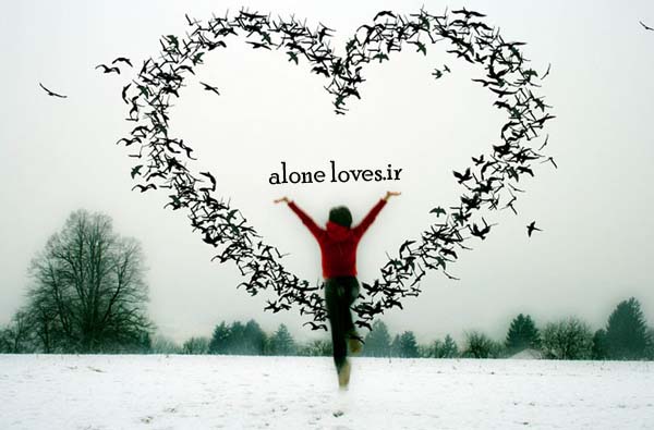 چیزی شبیه عشق