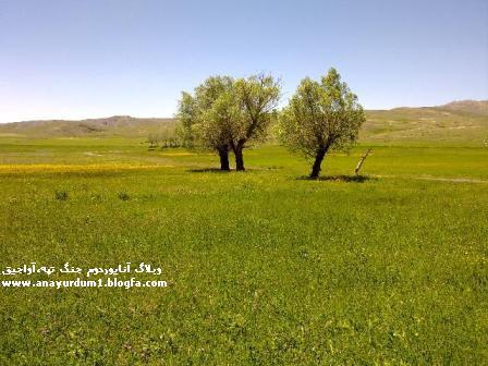 ناخیریولو-جنگ تپه