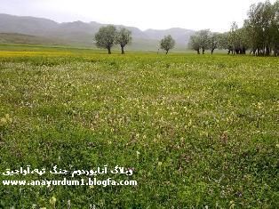 my lovely village: jang tappeh