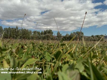 طبیعت روستای جنگ تپه
