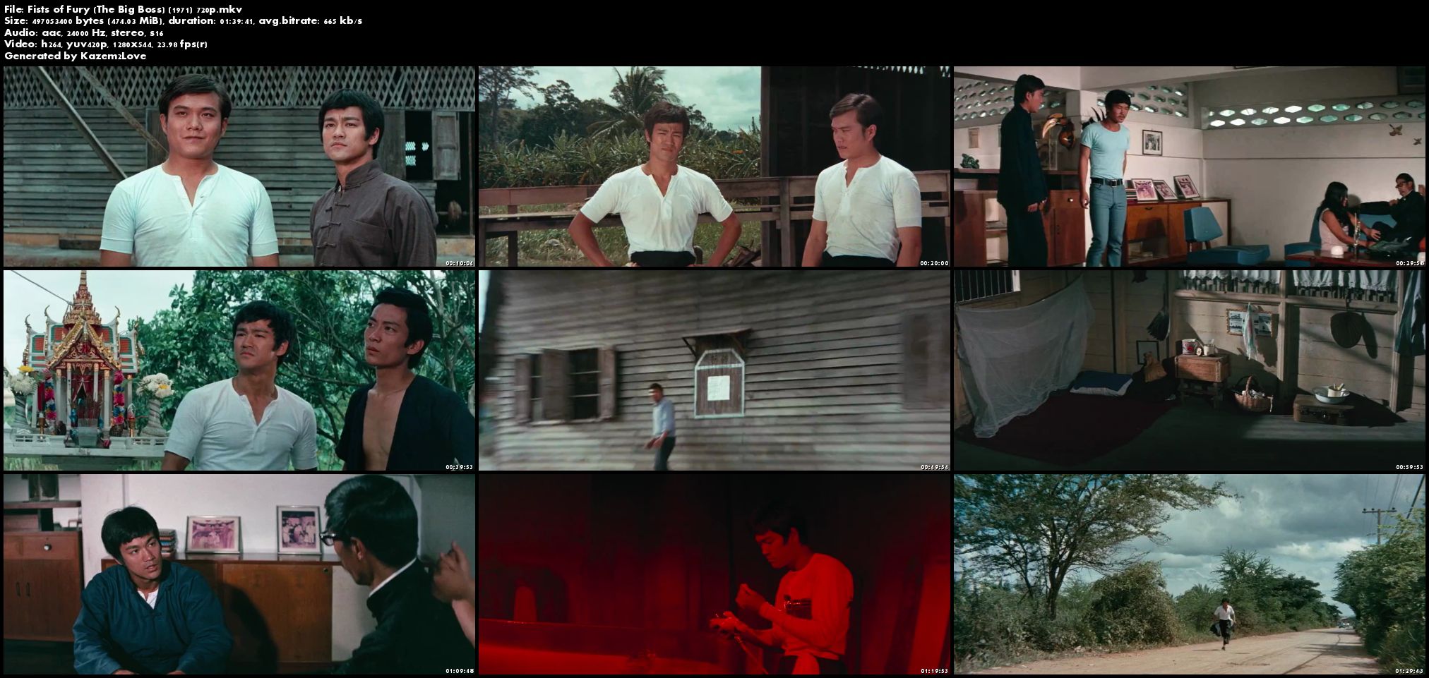 Big Boss, The aka Fists of Fury 1971 Review