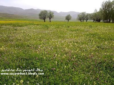 طبيعت روستاي زيباي من جنگ تپه-شهنازي