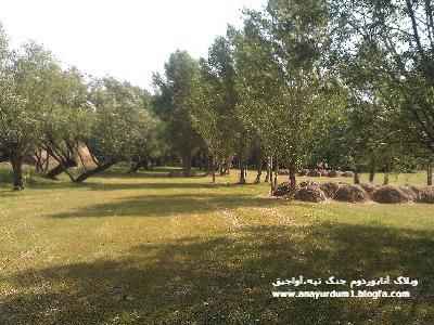 طبيعت روستاي زيباي من جنگ تپه-شهنازي