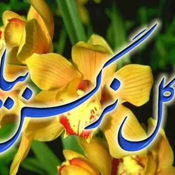 یاران امام زمان عج