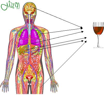 تاثیرات مصرف الکل بر بدن - mahu.ir