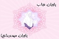 یاوران حجاب، یاوران مهدی(عج)