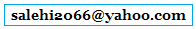 salehi2066@yahoo.com