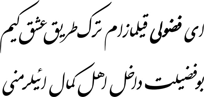 بیت خطاطی شده از حکیم ملا محمد فضولی، شناختنامه ملا محمد فضولی بر اساس پژوهشهای دکتر حسین محمدزاده صدیق دوزگون