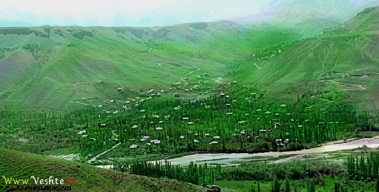 وشته