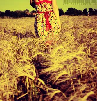 آشیانه،تو،ترانه،بهانه،زندگی من