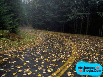 |http://www.atrebaroon.blogfa.com|عکس های عاشقانه|http://www.atrebaroon.blogfa.com|