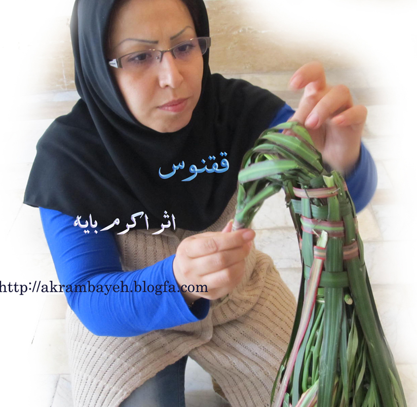 اکرم بایه