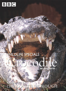 http://s3.picofile.com/file/7552512896/16_7.jpeg