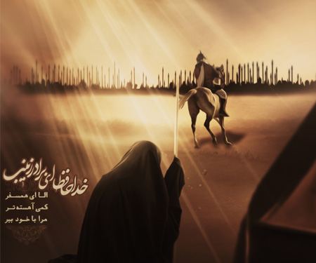 خداحافظ ای برادر زینب…