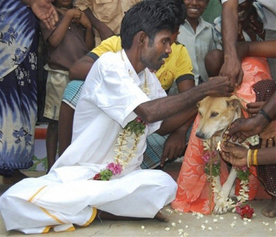 هند: ازدواج دختر هندی با یک سگ ولگرد