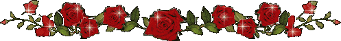 n13a.gif