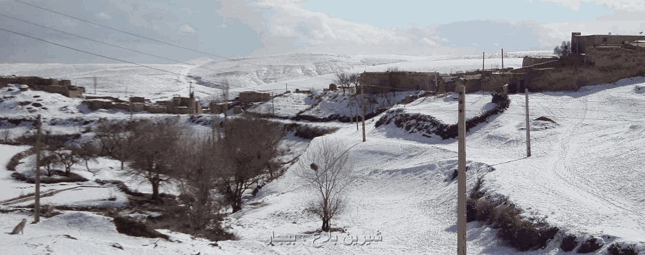 شیرین بلاغ بیجار