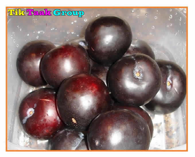گروه اینترنتی تیک تاک