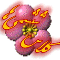 کلاس ششمی ها