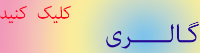 گالری فداغ نیوز
