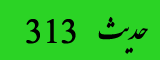 حدیث313