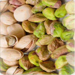 نرم افزار آنلاين