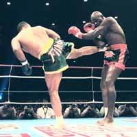 http://s3.picofile.com/file/7638592468/Filho_fight_Hoost_1999.jpg