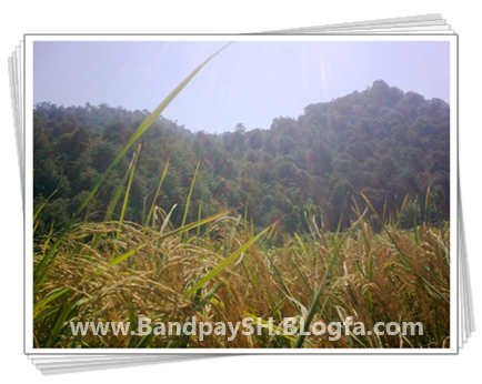 www.BandpaySH.BLogfa.com