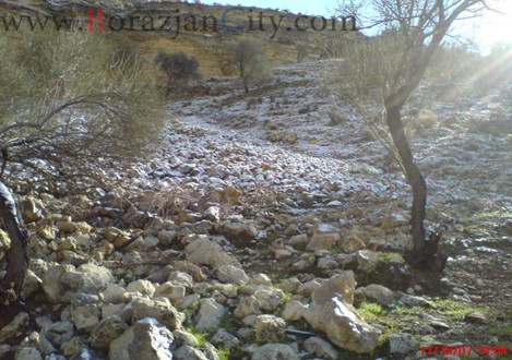 بارش بی سابقه برف در کوه های برازجان (سال 1386)