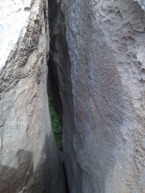 http://s3.picofile.com/file/7666670107/20131203085.jpg