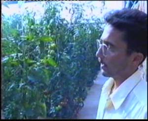 کلینیک گیاهپزشکی گلخانه