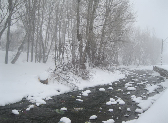 فندقلو_4.jpg (656×481)