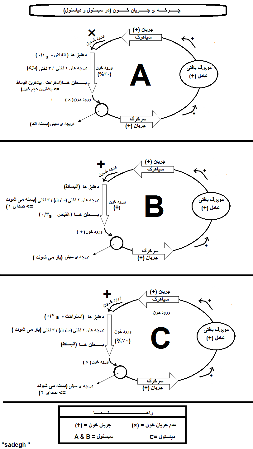 http://s3.picofile.com/file/7685256448/charkhe.png