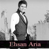 http://s3.picofile.com/file/7692025478/Ehsan_Aria_Risk.jpg