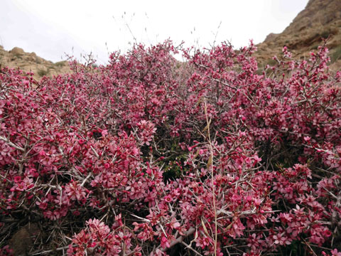 http://s3.picofile.com/file/7695652147/DSC00131.jpg