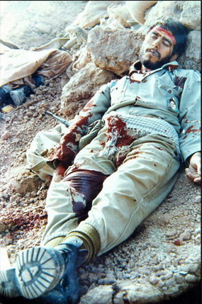 http://s3.picofile.com/file/7697531391/1_shahid_dehkhoda.jpg