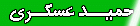 هوادار حمید عسکری