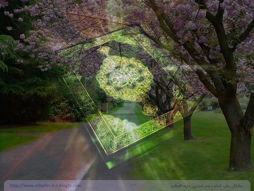 Nature of the Quran