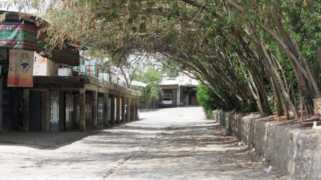 میدان تره بار قیر