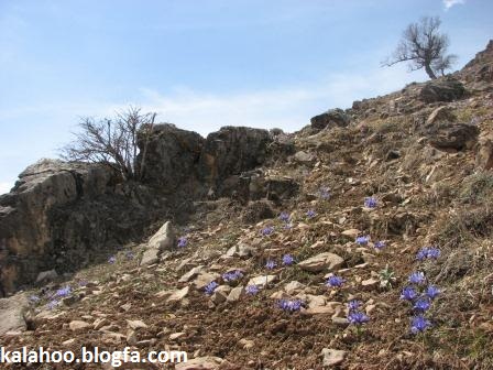 kelardasht
