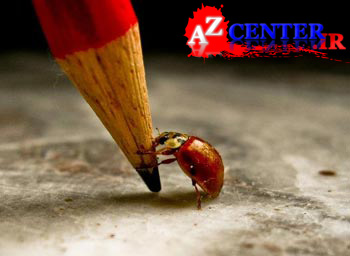 یکی از فانتزیام اینه که فروردین ۹۲ | www.AZCENTER.ir یکی از فانتزیام اینه که فروردین ۹۲ | www.AZCENTER.ir