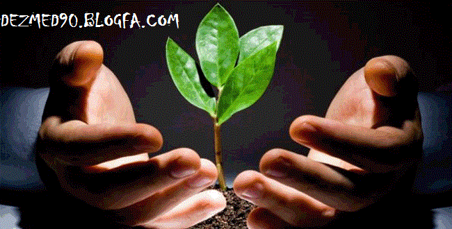 http://s3.picofile.com/file/7723444294/172_www.gif