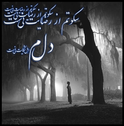 دلم گرفته 