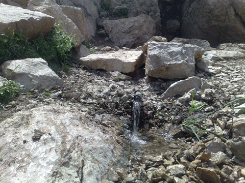 http://s3.picofile.com/file/7730622575/20130125431.gif