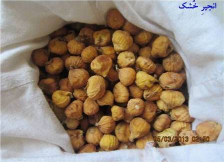 انجير خشك
