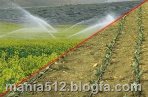 http://s3.picofile.com/file/7936253759/%D8%A2%D8%A8%DB%8C%D8%A7%D8%B1%DB%8C_%D8%AA%D8%AD%D8%AA_%D9%81%D8%B4%D8%A7%D8%B1.jpg