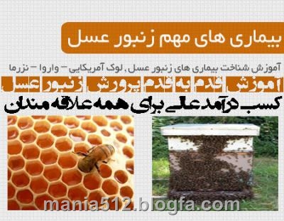 http://s3.picofile.com/file/7937275799/%D8%B2%D9%86%D8%A8%D9%88%D8%B1_%D8%B9%D8%B3%D9%841.jpg