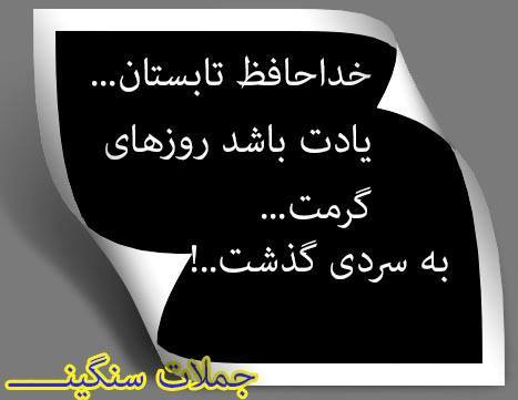 پاسخ به:اینجا همه چیز عالیه!!