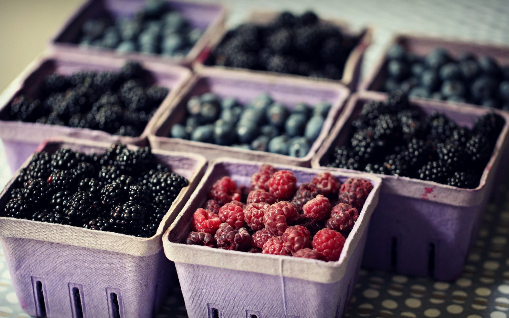 [عکس: berries_food_close_up_hd_wallpaper.jpg]